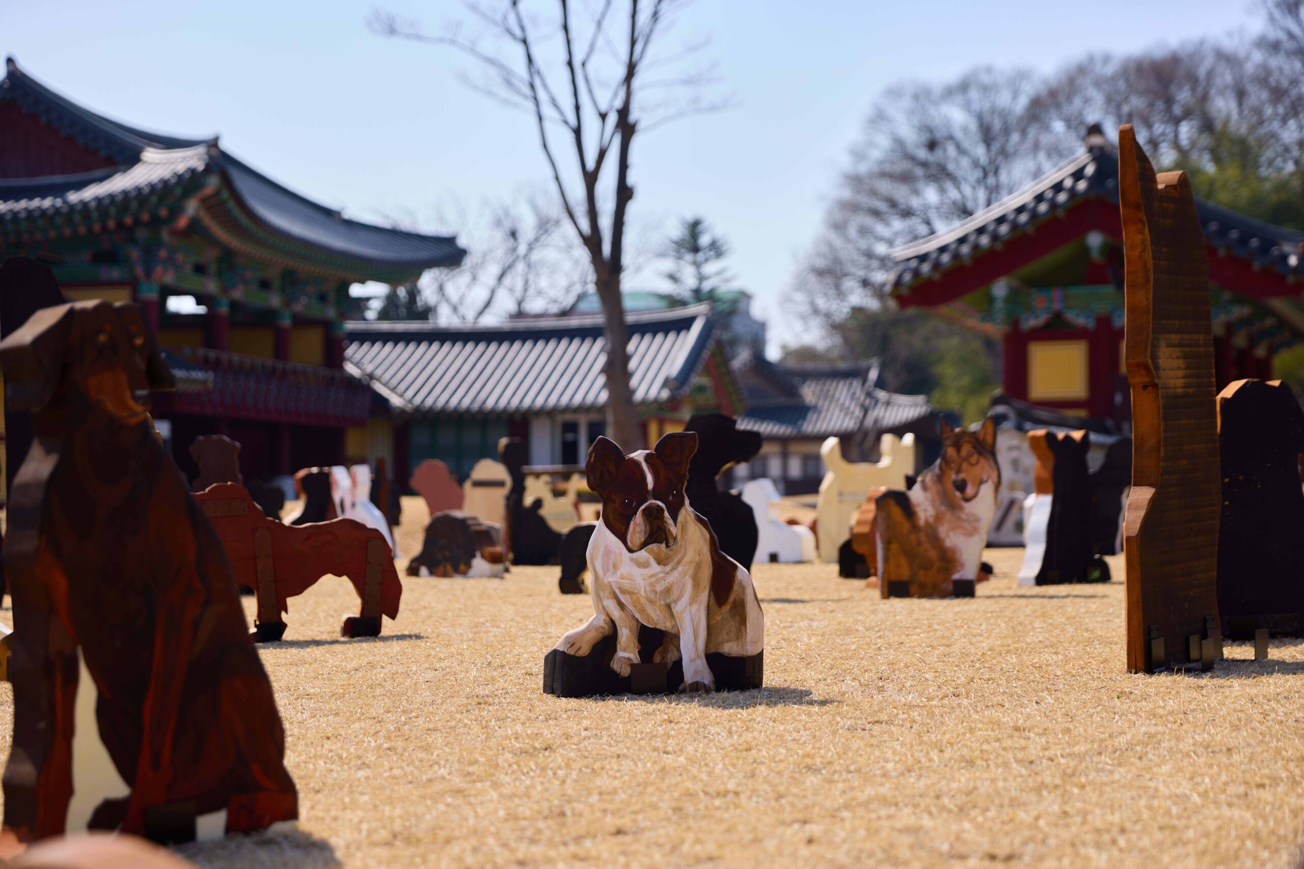 윤석남 〈1,025: 사람과 사람 없이〉